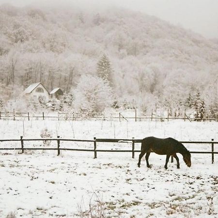 Casuta Boema Rasnov Exterior foto