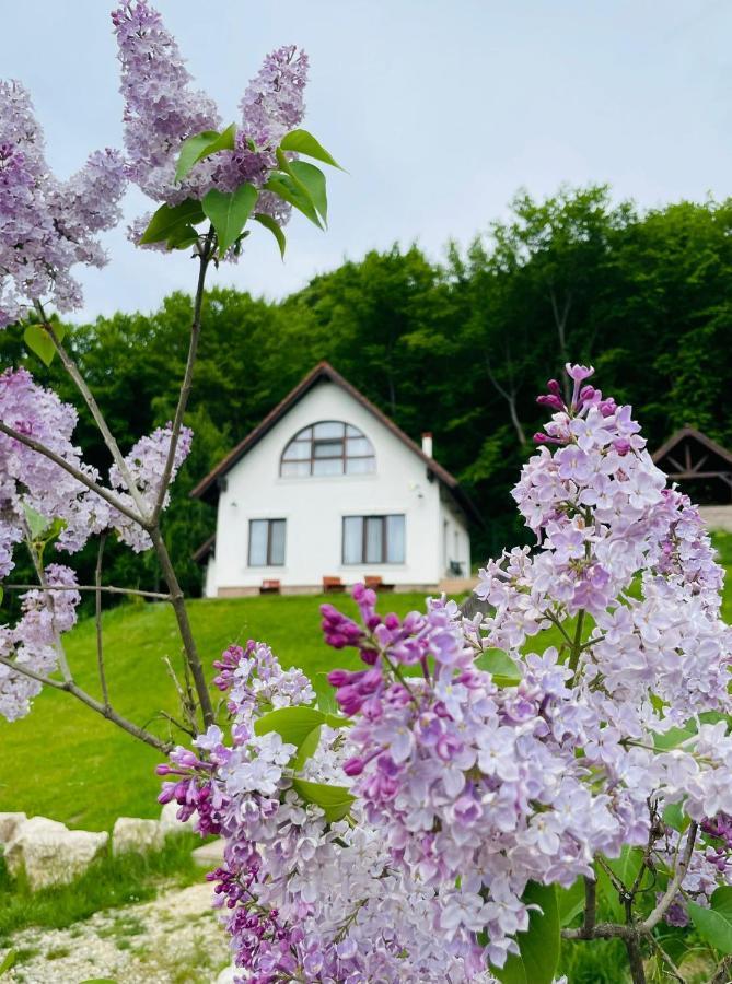 Casuta Boema Rasnov Exterior foto