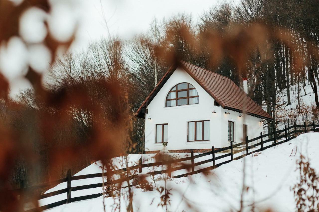 Casuta Boema Rasnov Exterior foto